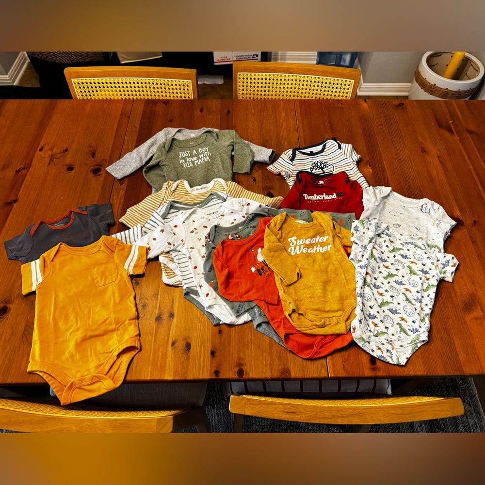 Bundle of 6-9 months onsies